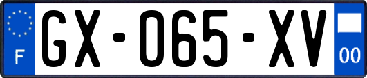GX-065-XV