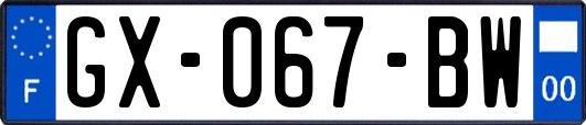 GX-067-BW