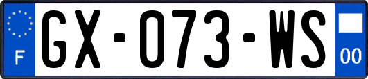 GX-073-WS