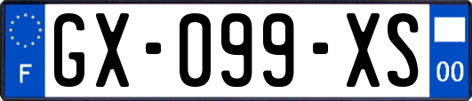 GX-099-XS