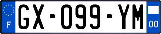 GX-099-YM
