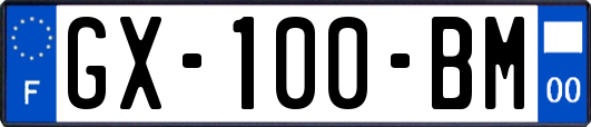 GX-100-BM