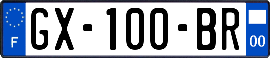 GX-100-BR