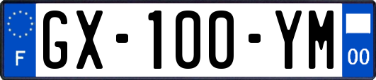 GX-100-YM