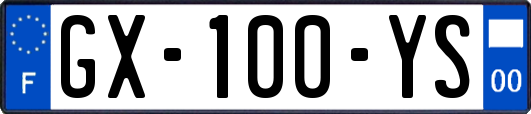 GX-100-YS