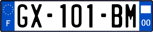 GX-101-BM