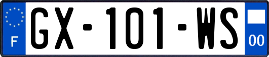 GX-101-WS