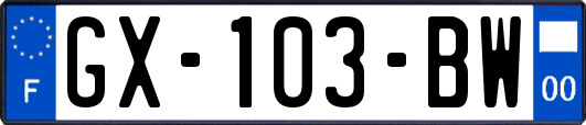 GX-103-BW