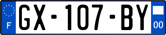 GX-107-BY