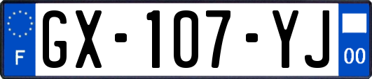 GX-107-YJ