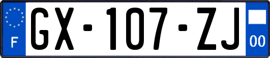 GX-107-ZJ