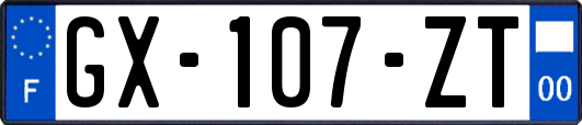 GX-107-ZT