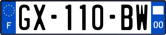 GX-110-BW
