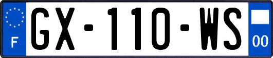 GX-110-WS