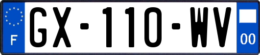 GX-110-WV