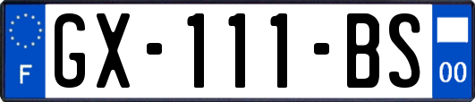 GX-111-BS