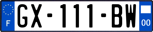 GX-111-BW