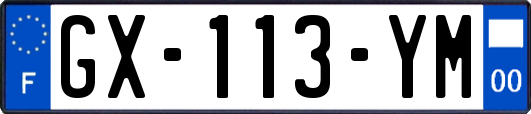 GX-113-YM