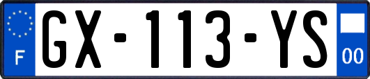 GX-113-YS