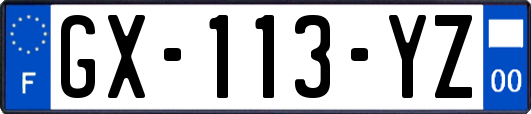 GX-113-YZ