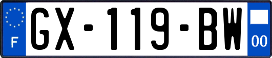 GX-119-BW