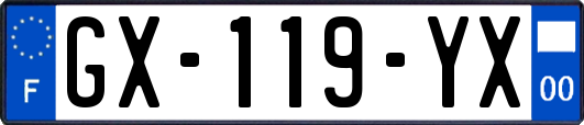 GX-119-YX