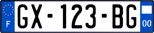 GX-123-BG