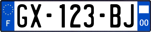 GX-123-BJ