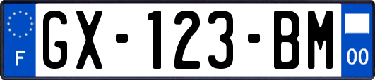 GX-123-BM