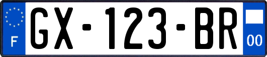 GX-123-BR