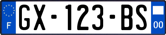 GX-123-BS