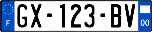GX-123-BV