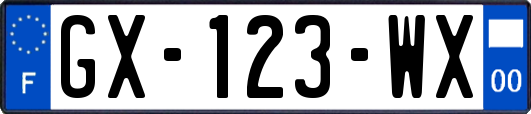 GX-123-WX
