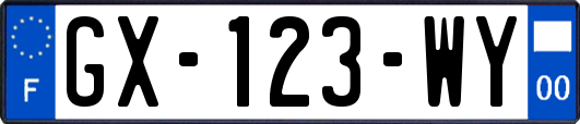 GX-123-WY