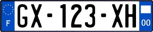 GX-123-XH