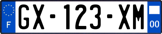 GX-123-XM