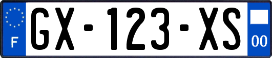 GX-123-XS
