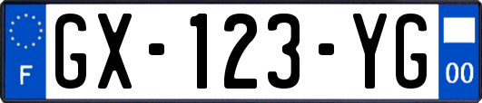 GX-123-YG