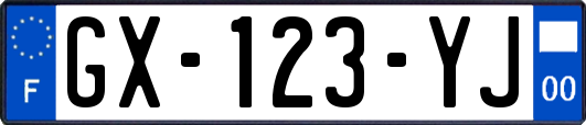 GX-123-YJ