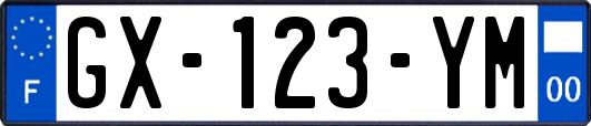 GX-123-YM
