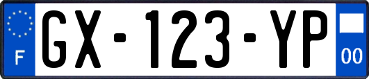GX-123-YP