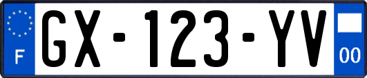 GX-123-YV