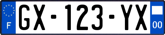 GX-123-YX