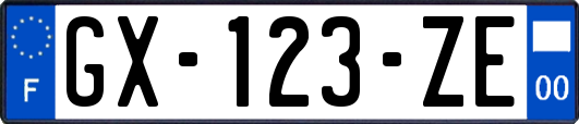 GX-123-ZE