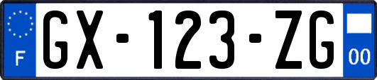 GX-123-ZG