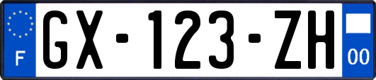 GX-123-ZH