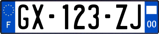 GX-123-ZJ
