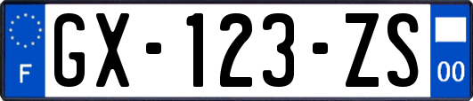 GX-123-ZS
