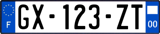 GX-123-ZT