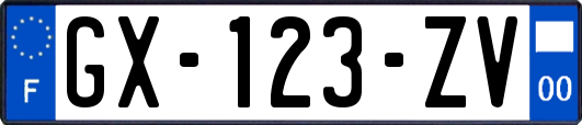 GX-123-ZV